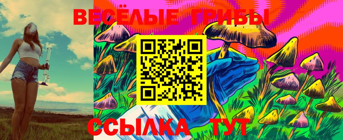Псилоцибиновые грибы Cubensis Лесосибирск