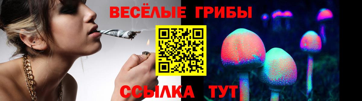 Псилоцибиновые грибы MAGIC MUSHROOMS  Галлюциногенные грибы мухоморы  как найти   Вход с VPN  Лесосибирск 